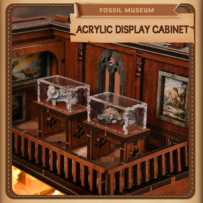 Fossil Museum DIY Wooden Book Nook Shelf Insert Fifijoy
