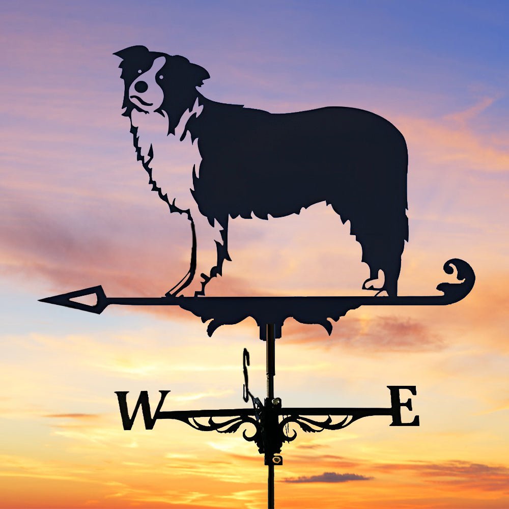 Border Collie Stainless Steel Weathervane - MISSIRON