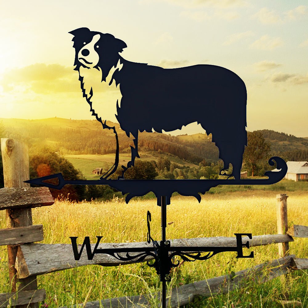Border Collie Stainless Steel Weathervane - MISSIRON