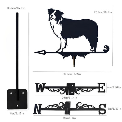 Border Collie Stainless Steel Weathervane - MISSIRON