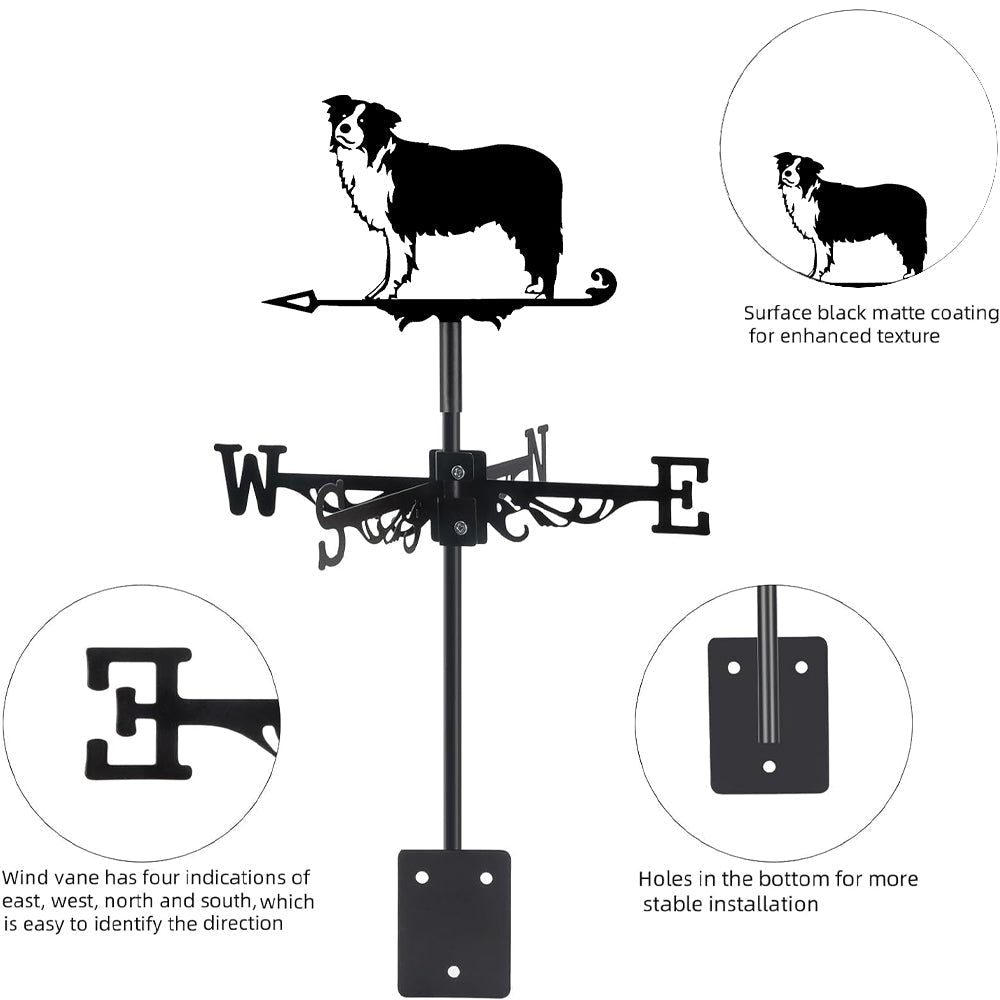 Border Collie Stainless Steel Weathervane - MISSIRON