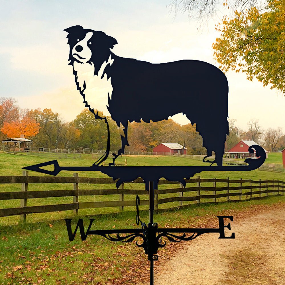 Border Collie Stainless Steel Weathervane - MISSIRON
