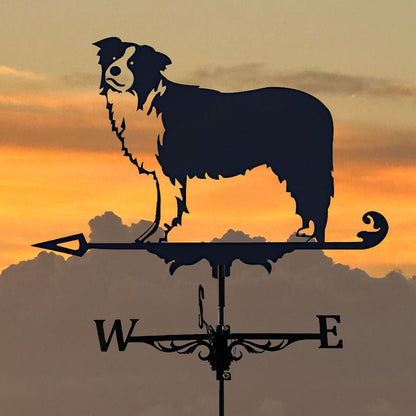 Border Collie Stainless Steel Weathervane - MISSIRON