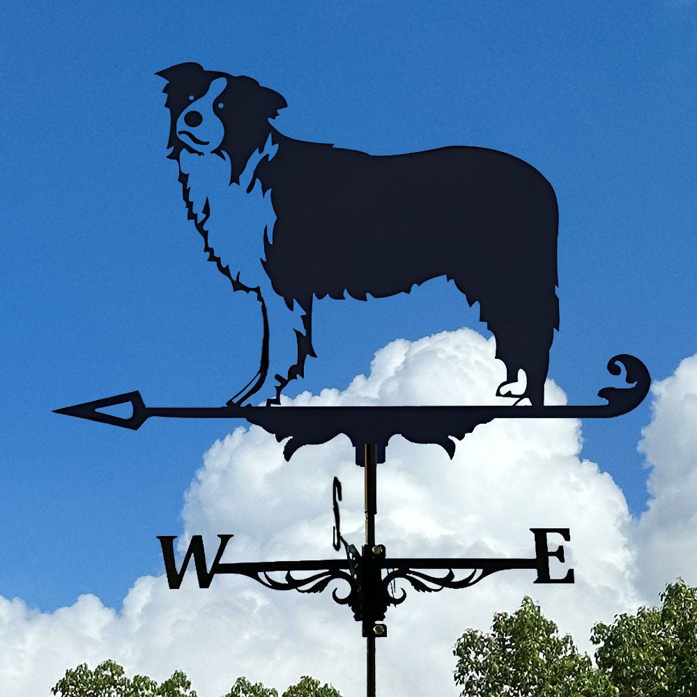 Border Collie Stainless Steel Weathervane - MISSIRON