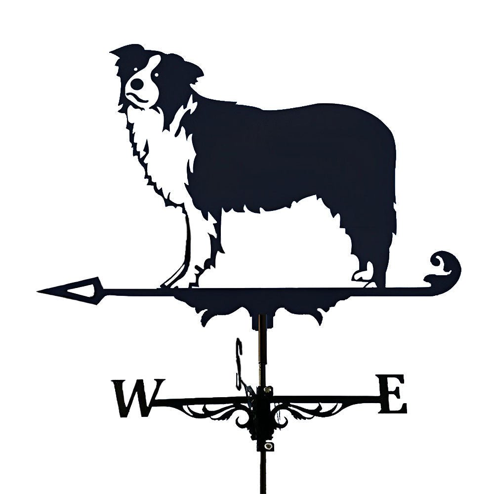 Border Collie Stainless Steel Weathervane - MISSIRON