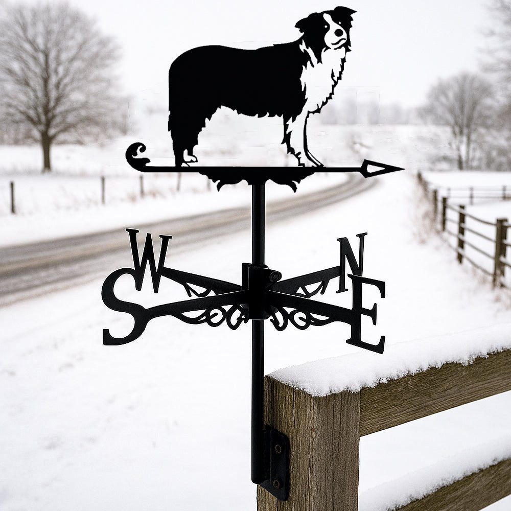 Border Collie Stainless Steel Weathervane - MISSIRON