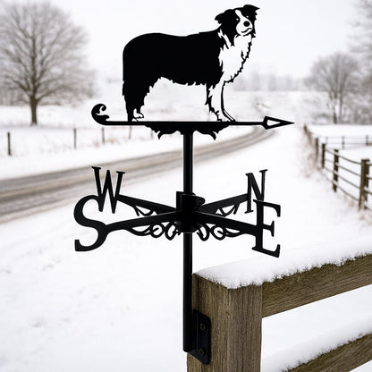 Border Collie Stainless Steel Weathervane - MISSIRON