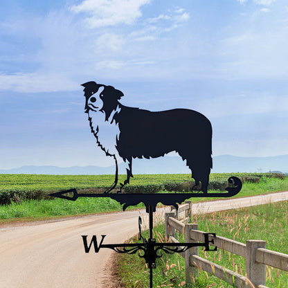 Border Collie Stainless Steel Weathervane - MISSIRON