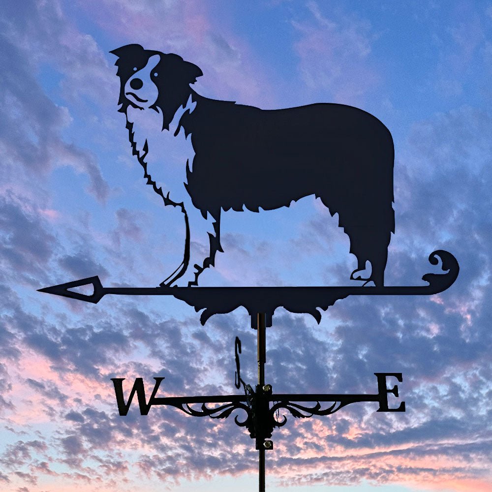 Border Collie Stainless Steel Weathervane - MISSIRON