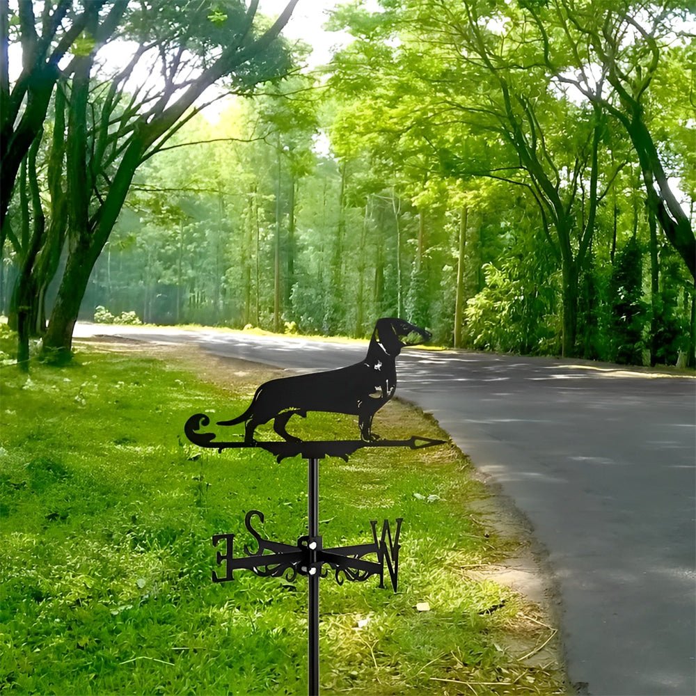 Dachshund Stainless Steel Weathervane - MISSIRON