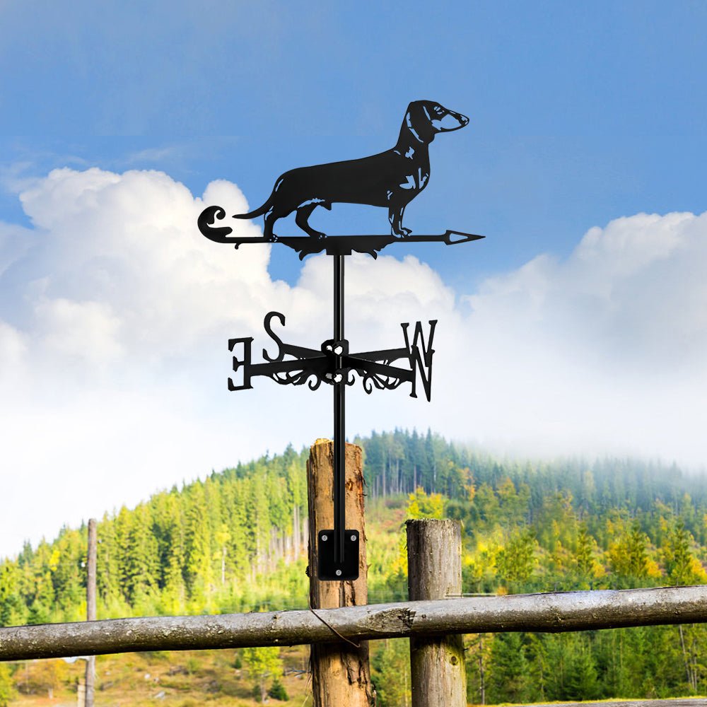 Dachshund Stainless Steel Weathervane - MISSIRON