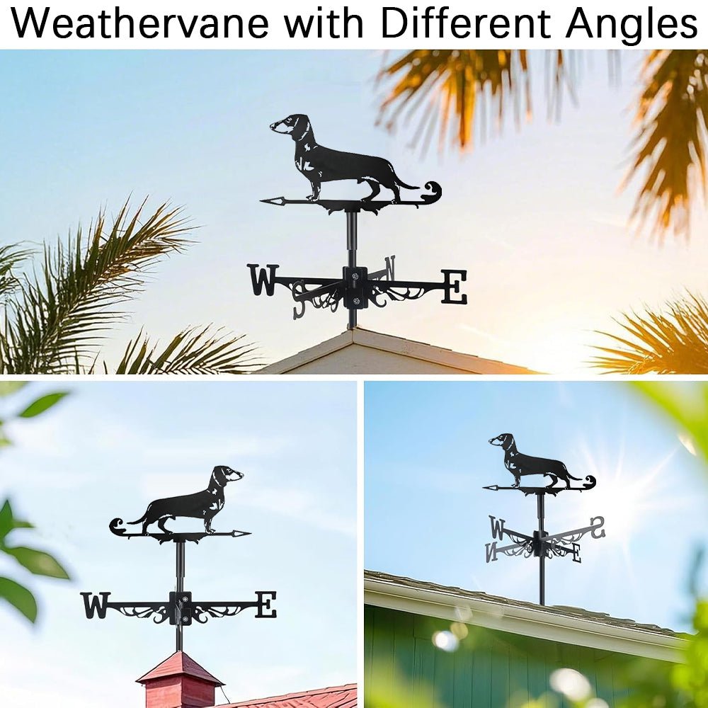Dachshund Stainless Steel Weathervane - MISSIRON
