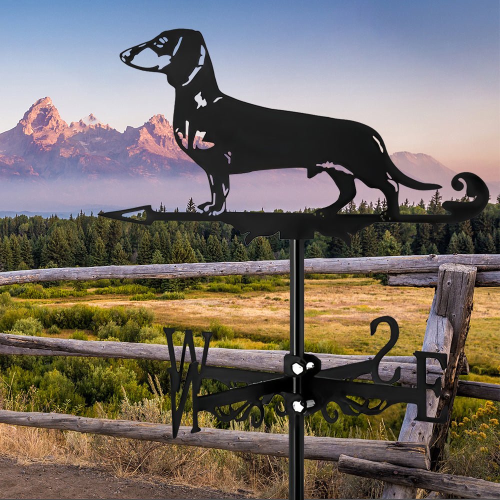 Dachshund Stainless Steel Weathervane - MISSIRON
