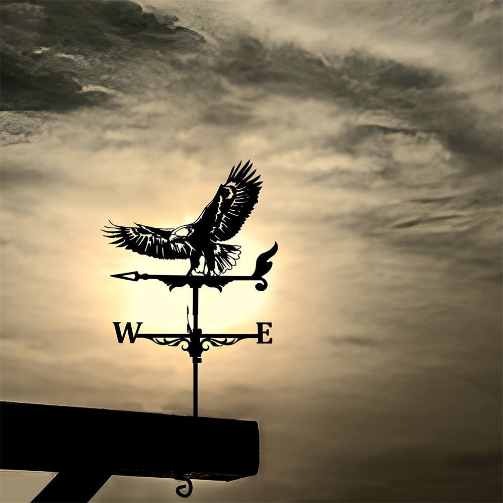 Eagle Stainless Steel Weathervane - MISSIRON