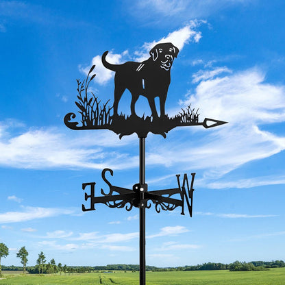 Labrador Stainless Steel Weathervane - MISSIRON