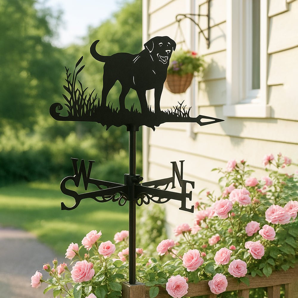 Labrador Stainless Steel Weathervane - MISSIRON