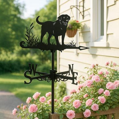 Labrador Stainless Steel Weathervane - MISSIRON