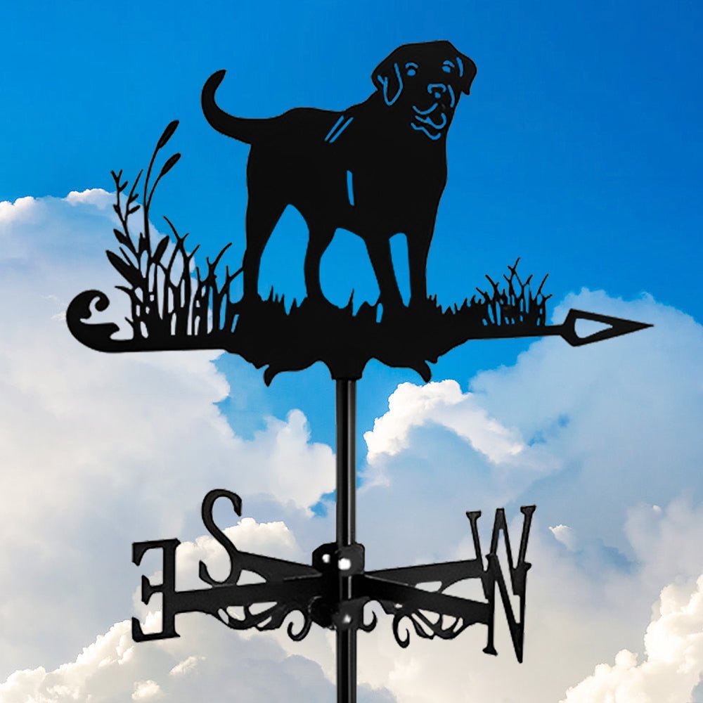 Labrador Stainless Steel Weathervane - MISSIRON