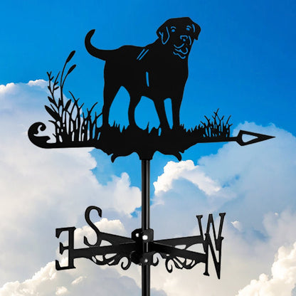 Labrador Stainless Steel Weathervane - MISSIRON