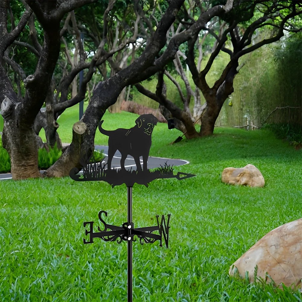 Labrador Stainless Steel Weathervane - MISSIRON