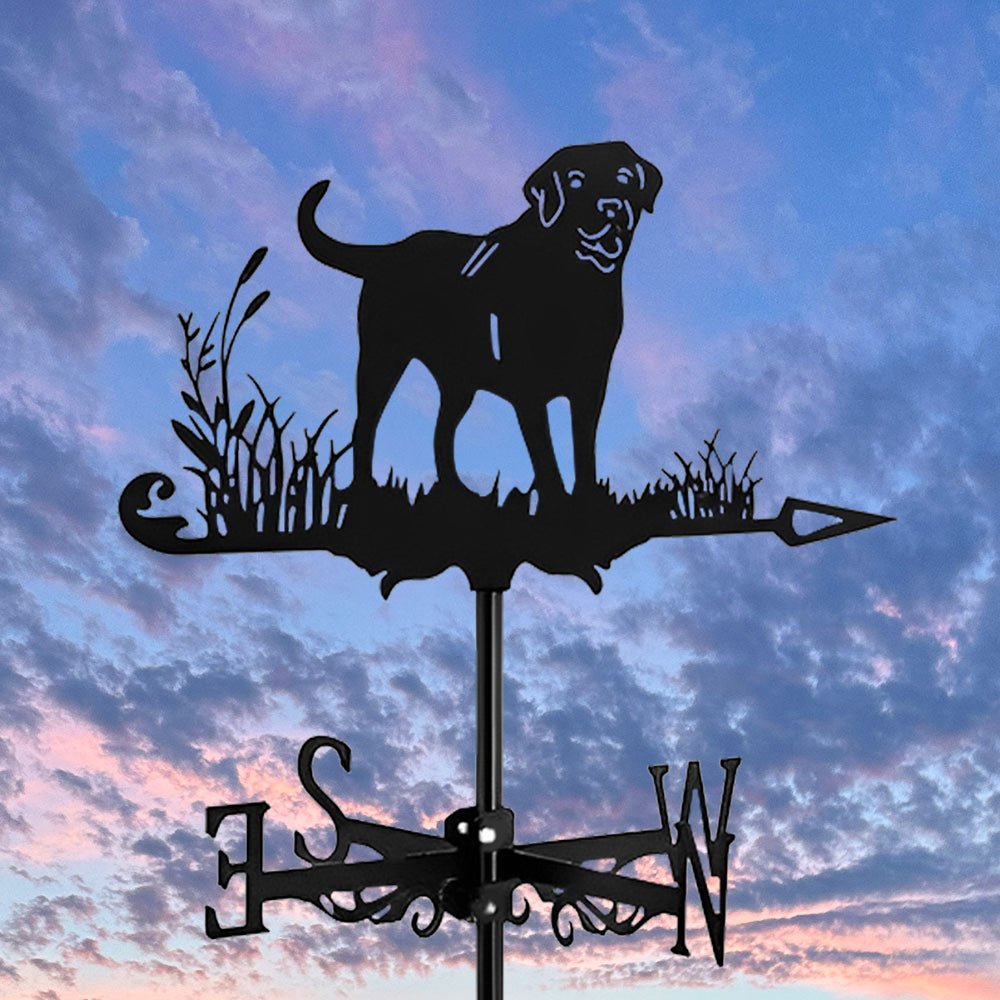 Labrador Stainless Steel Weathervane - MISSIRON