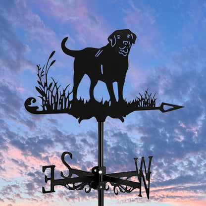 Labrador Stainless Steel Weathervane - MISSIRON