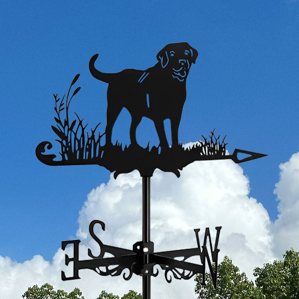 Labrador Stainless Steel Weathervane - MISSIRON