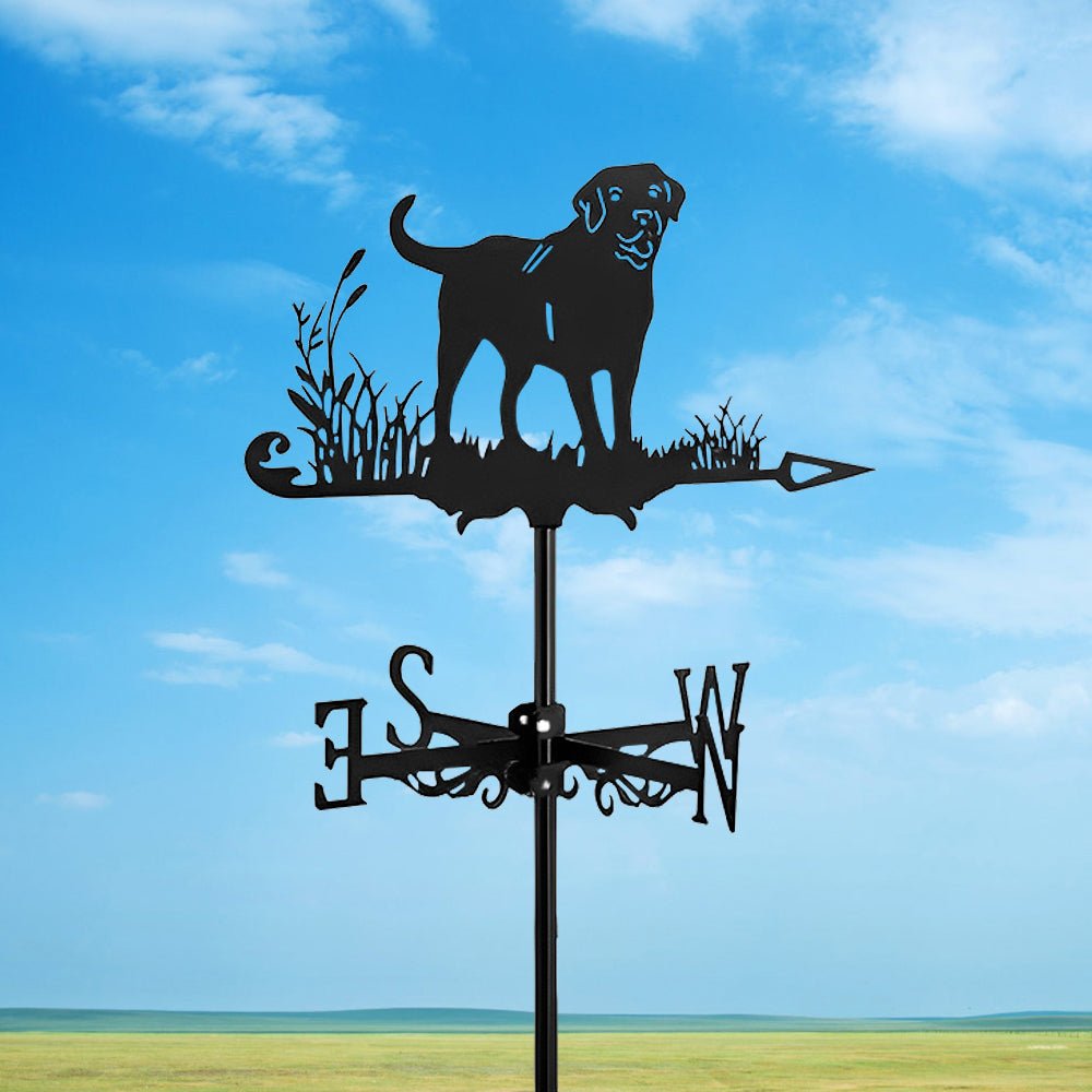 Labrador Stainless Steel Weathervane - MISSIRON