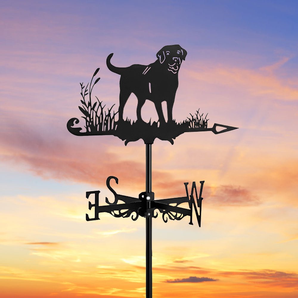 Labrador Stainless Steel Weathervane - MISSIRON