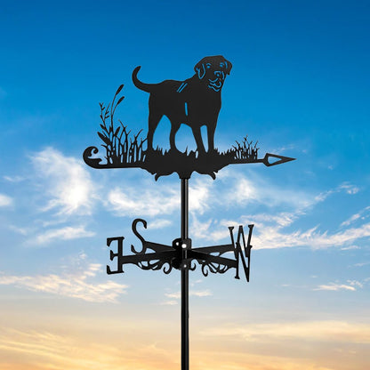 Labrador Stainless Steel Weathervane - MISSIRON