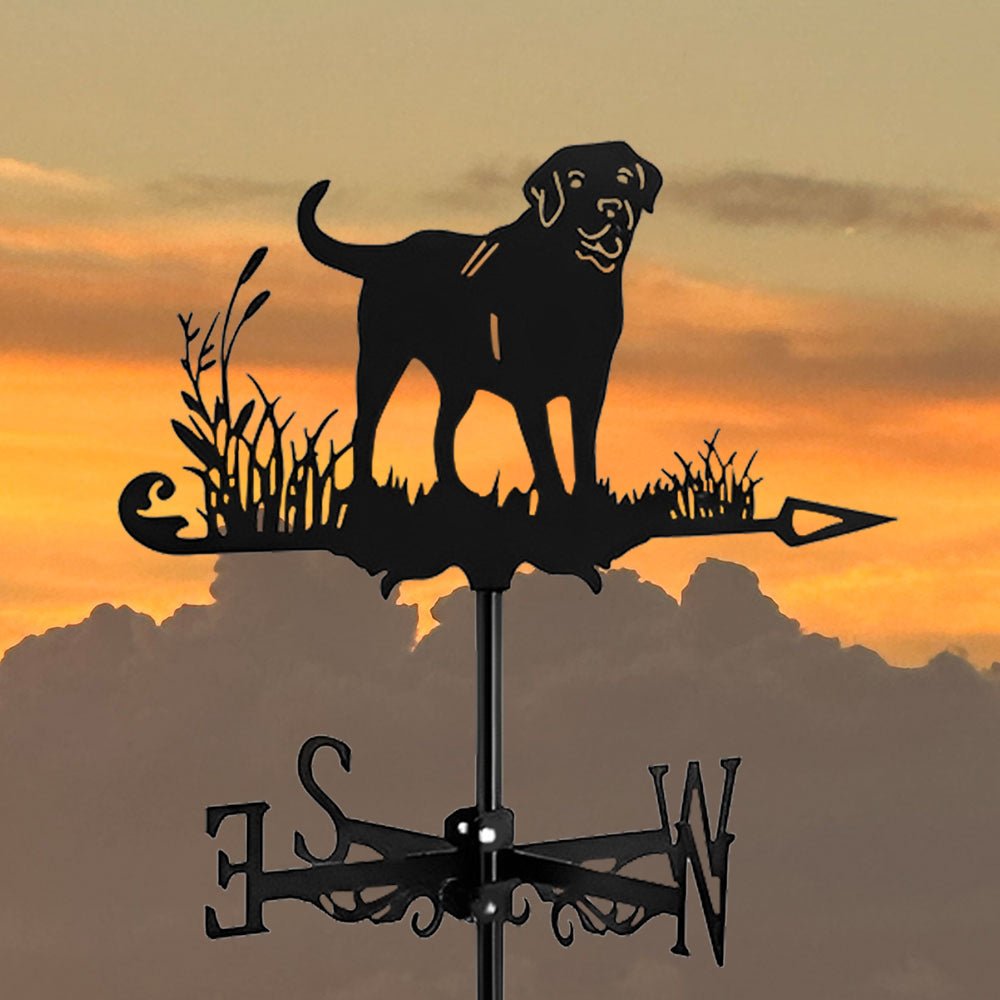 Labrador Stainless Steel Weathervane - MISSIRON