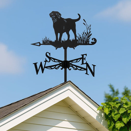 Labrador Stainless Steel Weathervane - MISSIRON